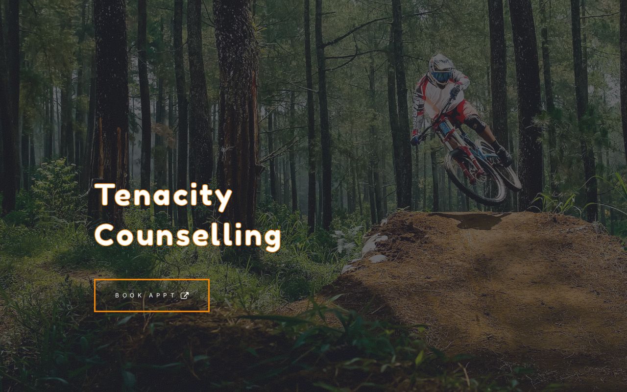 Tenacity Counselling logo